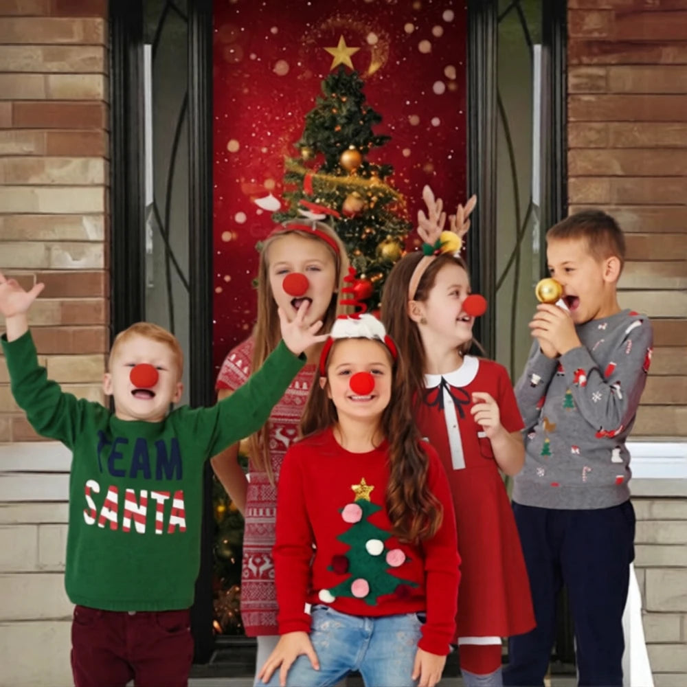 Christmas Ornaments | Christmas Front Door Cover