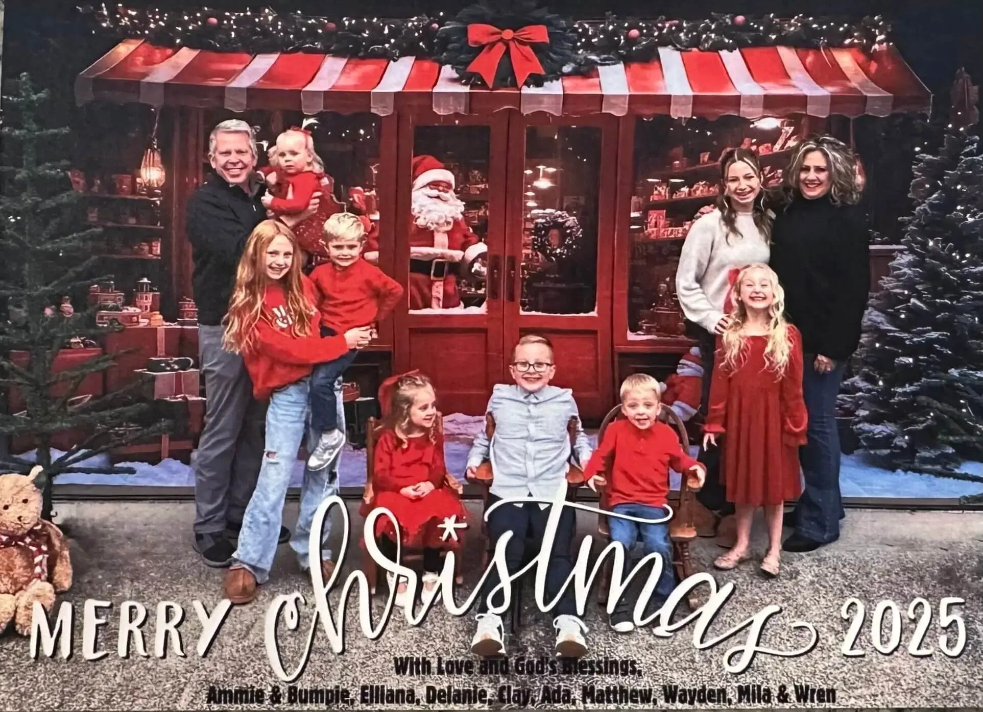 Merry Christmas Garage door cover customer review
