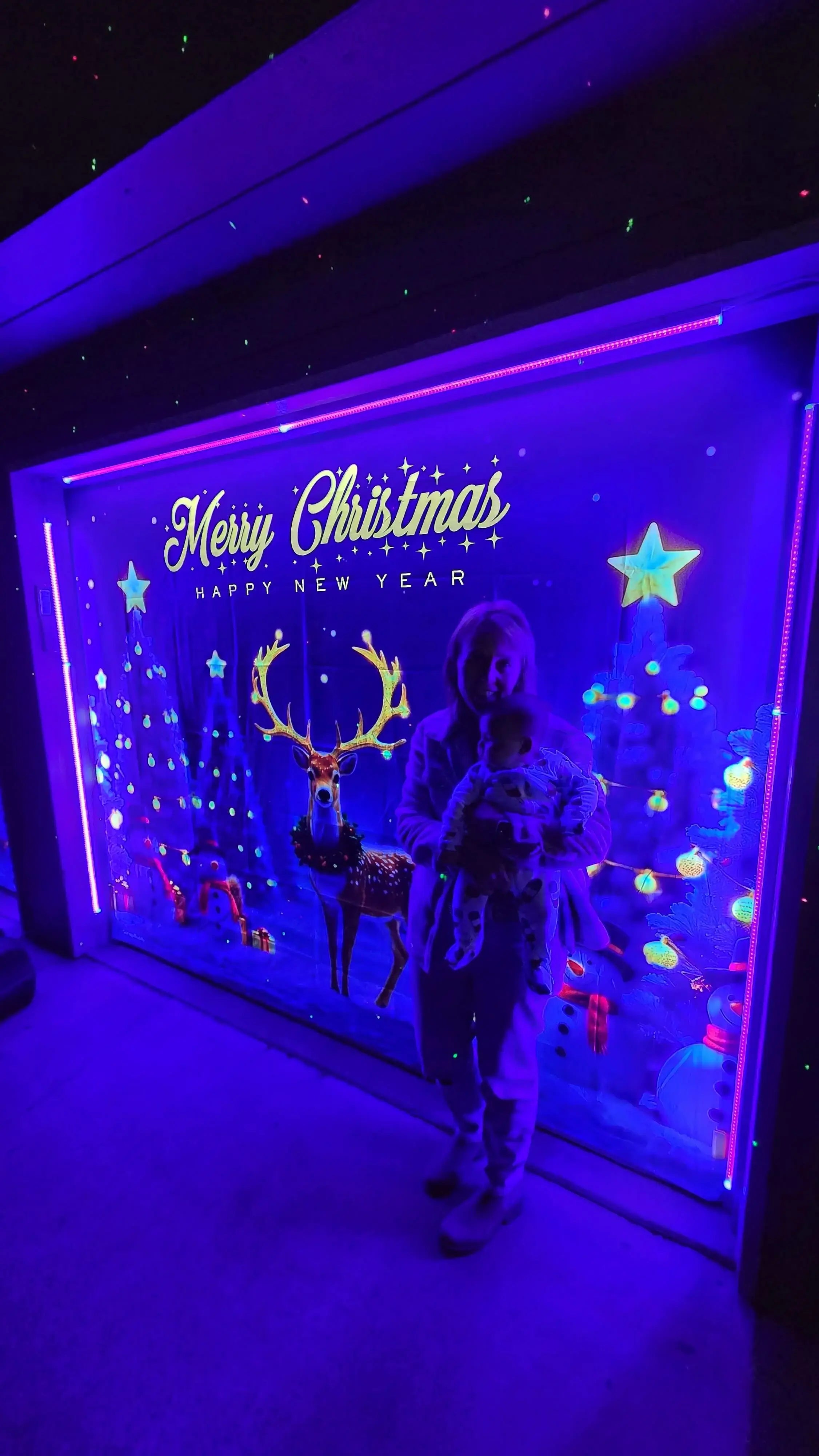 Merry Christmas Garage door cover customer review