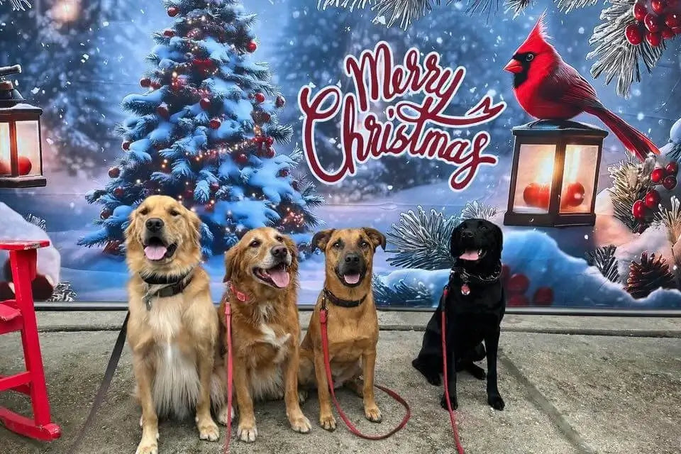 Merry Christmas Garage door cover customer review